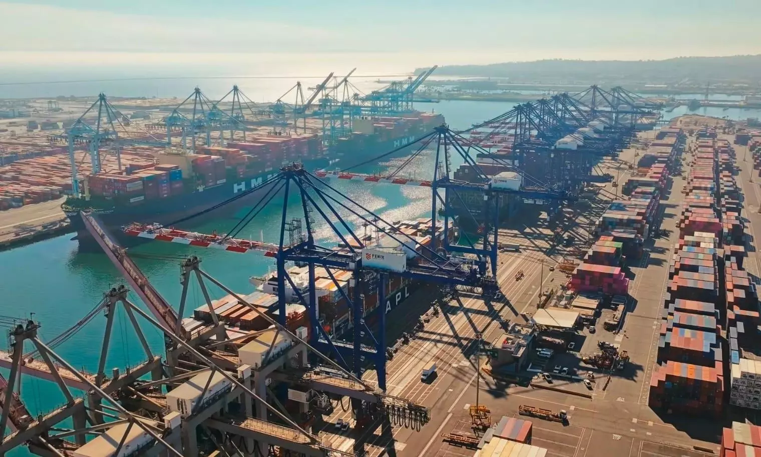 Red Sea return of ships could see freight rates crash: Xeneta Red Sea return of ships could see freight rates crash: Xeneta