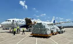 India drops cargo re-screening, but can infrastructure keep up? India drops cargo re-screening, but can infrastructure keep up?