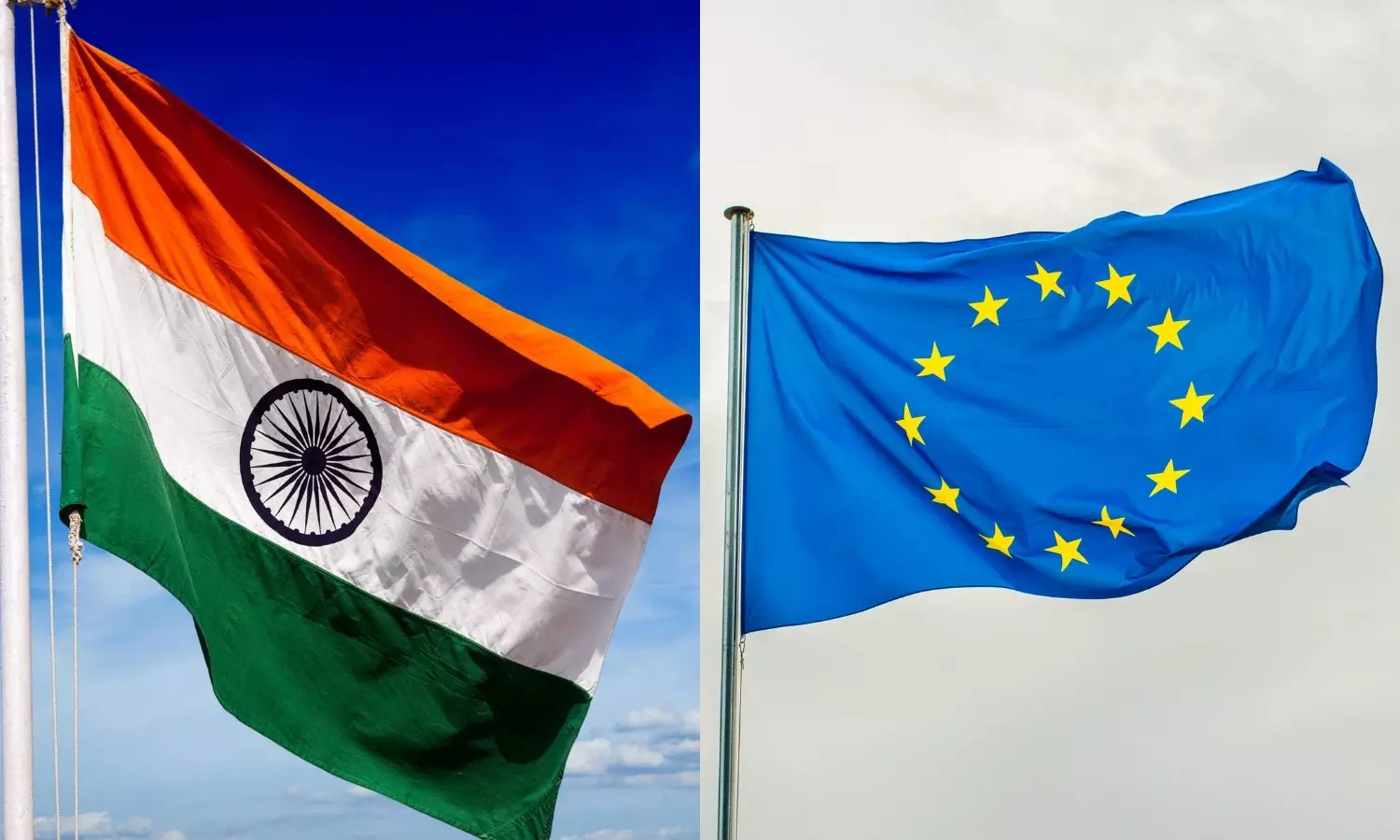 India-EU trade grows steady, crosses $135 billion in goods in FY24 India-EU trade grows steady, crosses $135 billion in goods in FY24