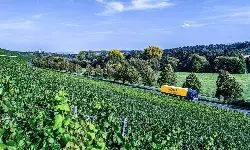 Dachser broadens wine and spirits logistics footprint in APAC Dachser broadens wine and spirits logistics footprint in APAC
