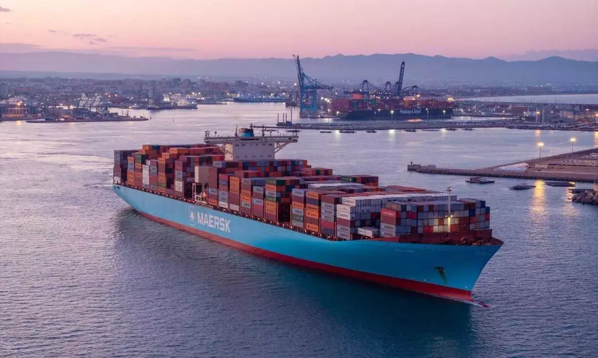 Suez Canal return still uncertain as Gemini network holds Cape route Suez Canal return still uncertain as Gemini network holds Cape route