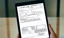 UN clears path for single negotiable cargo document across transport modes UN clears path for single negotiable cargo document across transport modes