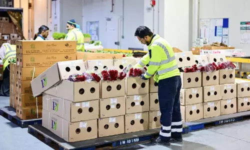 From farm to freighter: The Valentine’s flower rush From farm to freighter: The Valentine’s flower rush