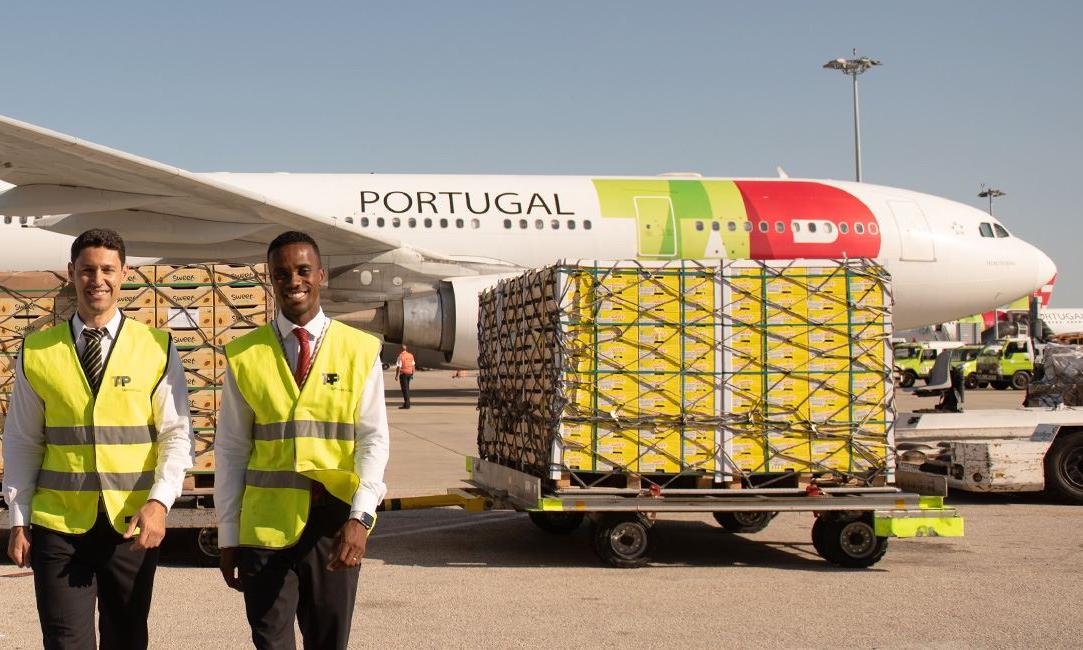 Is Tap Air Portugal Good For Carrying Golf Clubs And Surfboards?