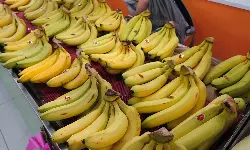 FHEL stores 21 banana containers amid Middle East route crisis