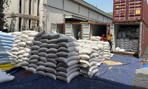 DRI seizes 132 containers worth ₹139 crore at Nhava Sheva Port