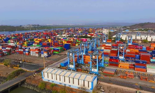 Nhava Sheva rates jump 31% as global ocean market splits