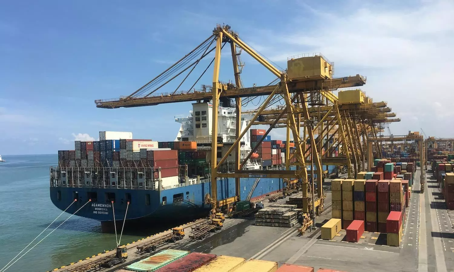 India marine exports hit record $8.28bn in 2025–26 despite odds India marine exports hit record $8.28bn in 2025–26 despite odds
