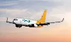 Blue Dart Q3 net profit flat at Rs 89cr, revenue up 3% Blue Dart Q3 net profit flat at Rs 89cr, revenue up 3%
