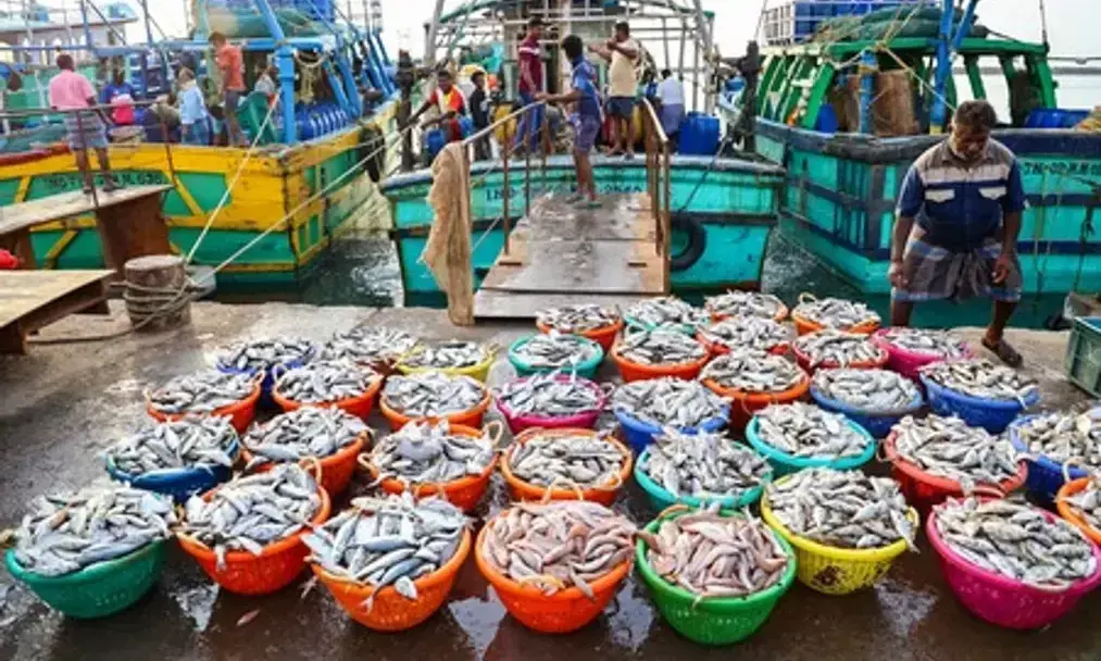 India’s seafood exports reach record ₹73.89 billion in FY 2025–26 India’s seafood exports reach record ₹73.89 billion in FY 2025–26