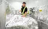 UPS invests $48 million to expand global cold chain network UPS invests $48 million to expand global cold chain network
