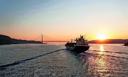 India directs shipping firms to avoid deploying seafarers via Hormuz