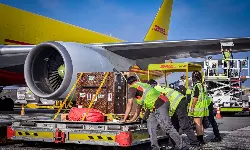 DHL launches AI tool TradeNavigator for customs data DHL launches AI tool TradeNavigator for customs data