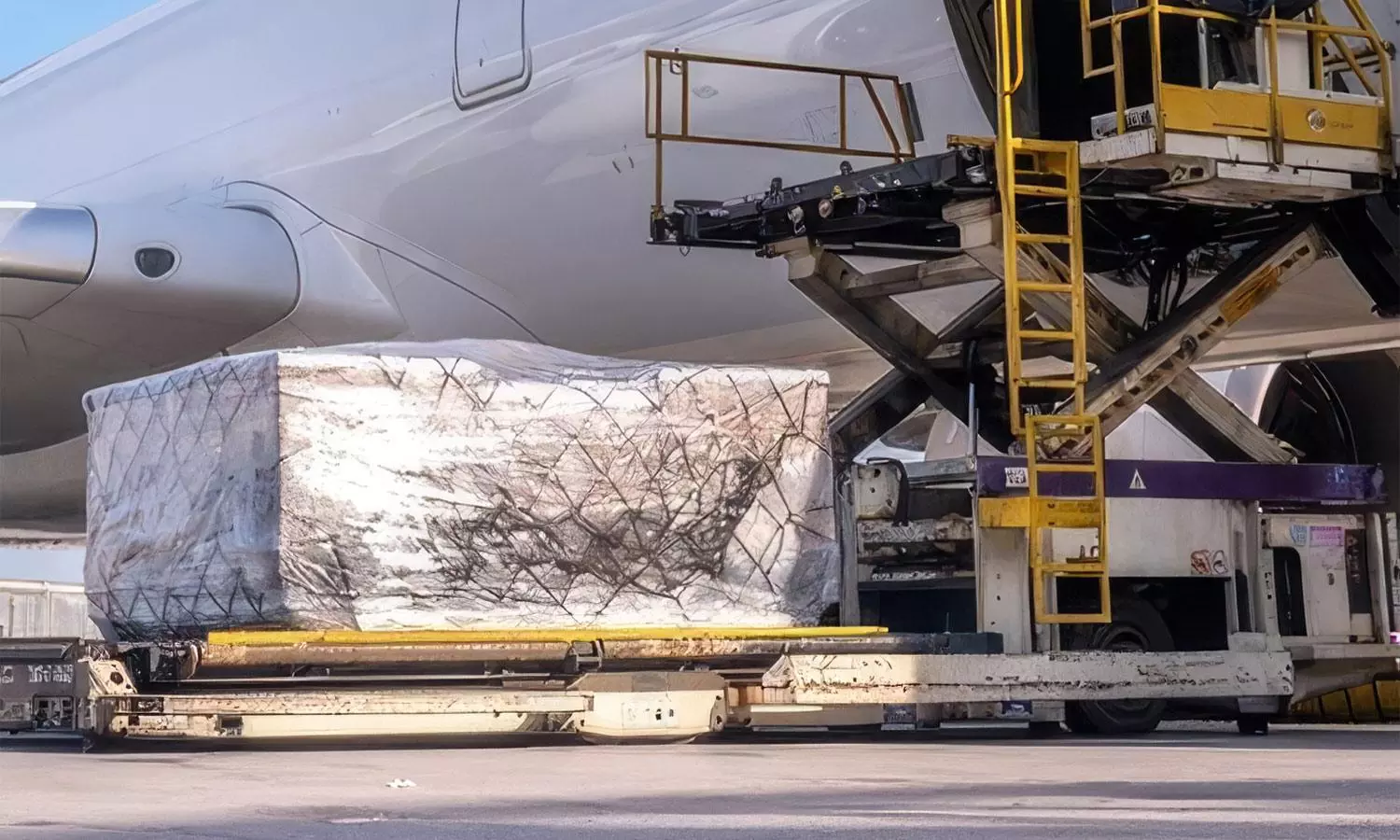 Skyways raises India air export market share to 6.3% Skyways raises India air export market share to 6.3%