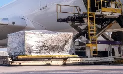 Skyways raises India air export market share to 6.3%