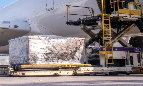 Skyways raises India air export market share to 6.3% Skyways raises India air export market share to 6.3%