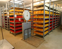Cold Storage: The only way to forestall food wastage Cold Storage: The only way to forestall food wastage