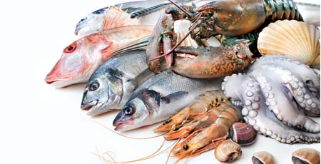 India’s big catch India’s big catch