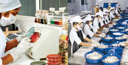 Evaluating Cold Chain effectiveness Evaluating Cold Chain effectiveness