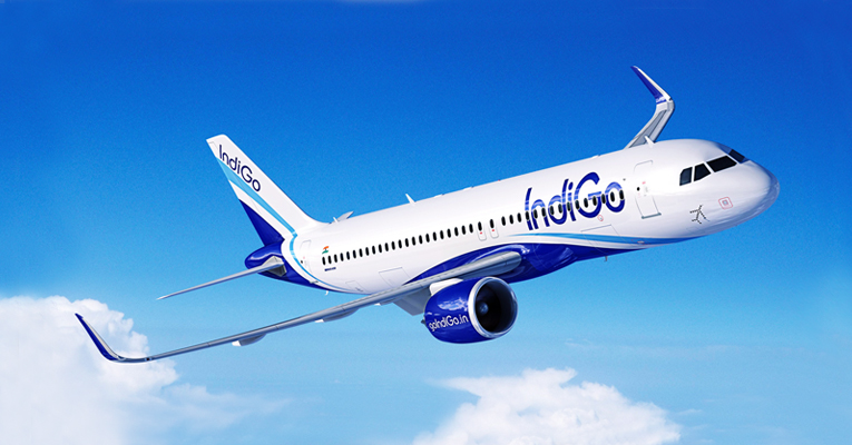 indigo travel services