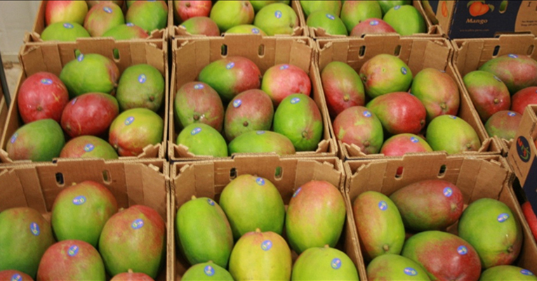 APEDA organises buyer seller meet for mango trading