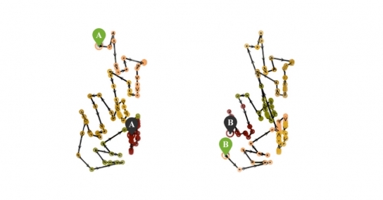 At left is a delivery route computed by the Last Mile team%u2019s optimization software, at right the route that a delivery driver actually chose to drive. (Map details have been omitted.) Green symbols(A and B)indicate the driver%u2019s starting locations, purple symbols(also A and B)the ending locations.