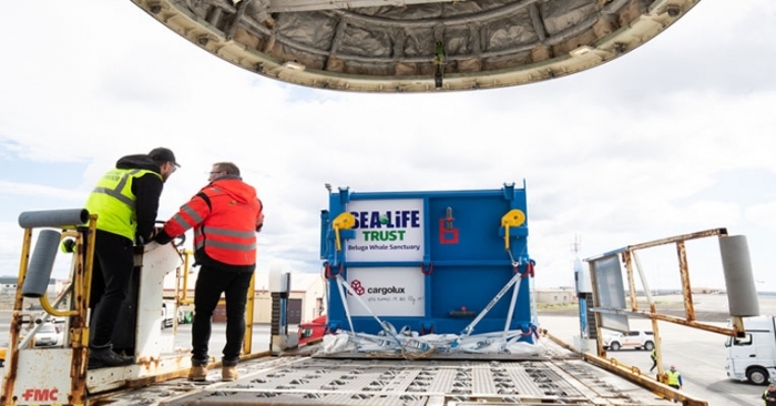 Cargolux transports 2 beluga whales from China to Iceland