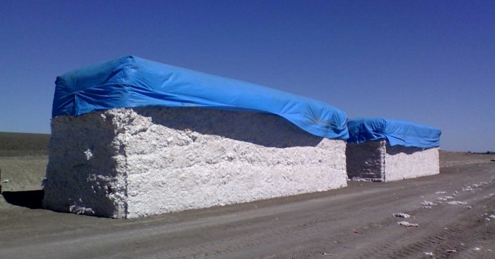 The domestic cotton spinning industry is highly dependent on exports, particularly to China. The domestic cotton spinning industry is highly dependent on exports, particularly to China.