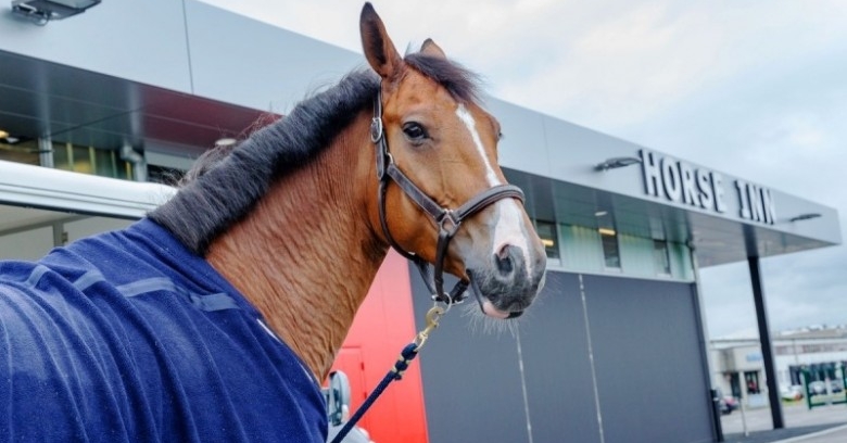 Liege Airport’s Horse Inn calms nerves of world’s best horses