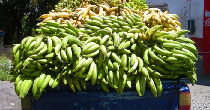 While e-commerce is going down and will destroy certain markets, grocery demands are up online and more people may continue to buy them even after the pandemic is over. While e-commerce is going down and will destroy certain markets, grocery demands are up online and more people may continue to buy them even after the pandemic is over.