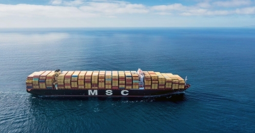 MSC largest ocean carrier by operated vessel capacity