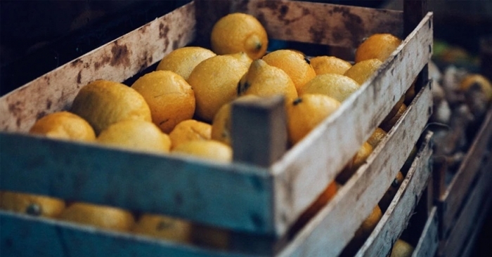 For the citrus export season in 2019-20, Maersk Pakistan worked with Pakistani exporters to understand how to provide further value in the supply chain.