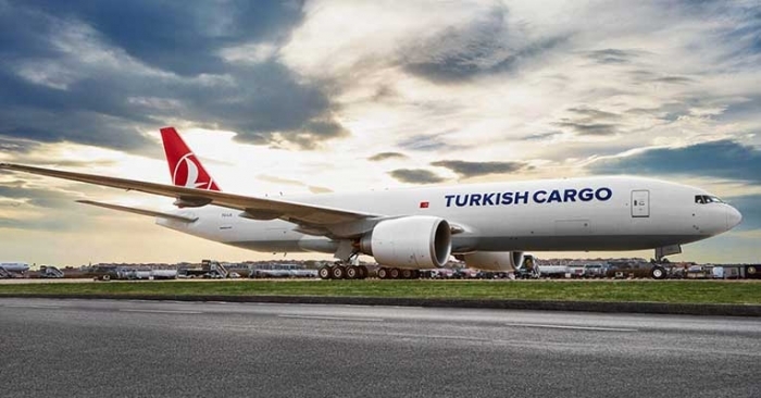 Turkish Cargo flies circus lions to their natural habitat