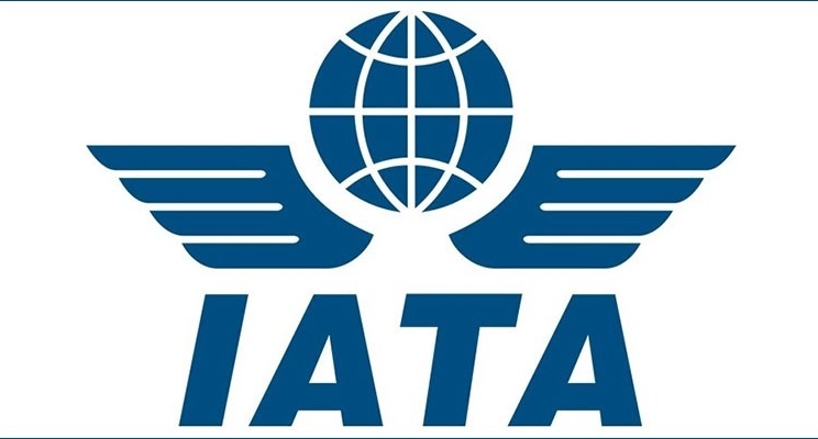 Airline industry’s net profit to shift slightly ahead in 2019, says IATA