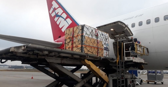 The bears were loaded on a Boeing 767-300 aircraft, which weighed a total of approximately 1.3 tonnes when loaded with both animals.